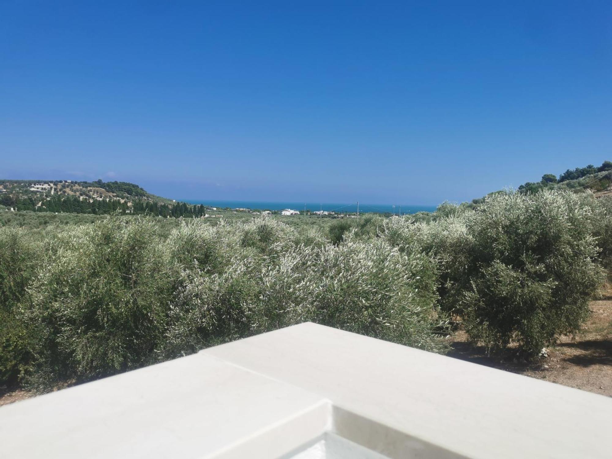 Le Fronde Vieste Bagian luar foto